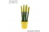 Sansevieria cylindrica Sansevieria VELVET TOUCHZ® Geel in keramiek Ede