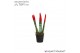 Sansevieria cylindrica Sansevieria VELVET TOUCHZ® Rood 