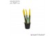 Sansevieria cylindrica Sansevieria VELVET TOUCHZ® Geel 