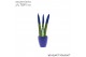 Sansevieria cylindrica Sansevieria VELVET TOUCHZ® Blauw in keramiek Os 