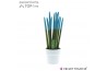 Sansevieria cylindrica Sansevieria VELVET TOUCHZ® Aqua in keramiek Ede