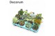 Succulenten Succulent Mix (Decorum)1 pp 