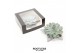 Arrangementen succulenten ROOTLESS Echeveria, Grey star - black box1 p 