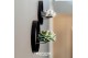 Arrangementen succulenten ROOTLESS Echeveria, Black metal for wall1 pp 
