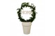 Hedera helix groen Hedera boog + home in keramiek40 - 44  cm 9 pp 