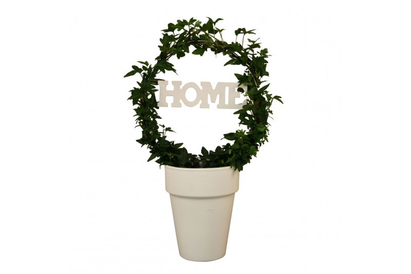 Hedera helix groen Hedera boog + home in keramiek40 - 44  cm 9 pp 