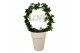 Hedera helix groen Hedera boog+love in keramiek45 - 49  cm 9 pp 