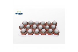 Mammillaria Mammillaria Microthele Superfina