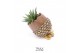 Arrangementen succulenten TRULY Haworthia Gasteria, Pine cone (Ice Age 