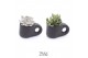 Succulenten TRULY succulent, Penguin pot Black1 pp 