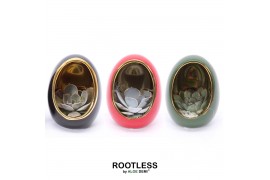 Arrangementen succulenten ROOTLESS Echeveria, Egg Colour gold1 pp