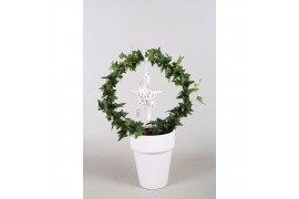 Hedera helix groen Hedera boog+ster in keramiek40 - 44  cm 9 pp