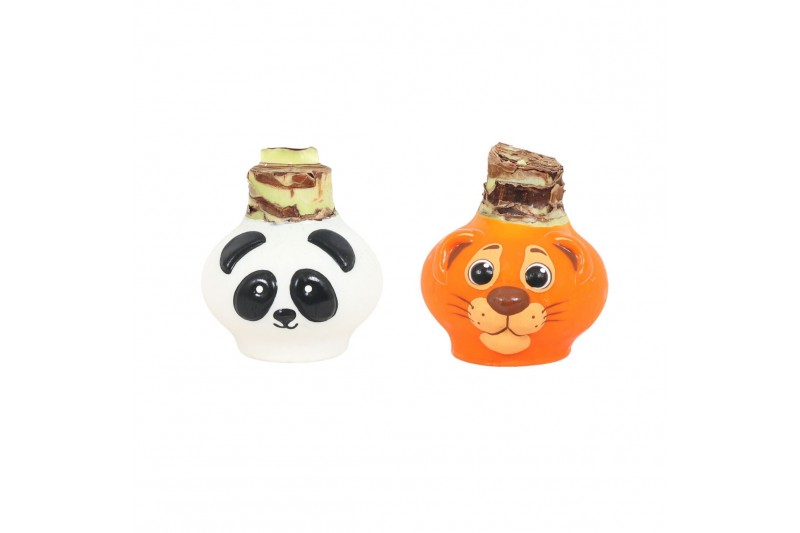 Hippeastrum gewaxt No Water Flowers Waxz® Wildlife mix 2 tak/plnt Hippeastrum gewaxt No Water Flowers Waxz® Wildlife mix 2 tak/plnt