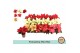 Euphorbia pul. mix Euph. Poinsettia Mini Mix1 bl. 