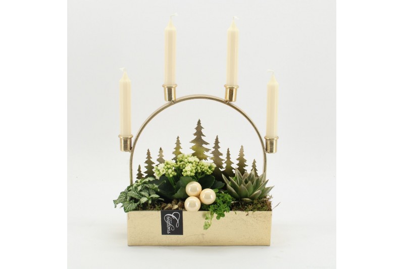 Arrangementen kerst ADV-2501W Advent creatie 4 pp 