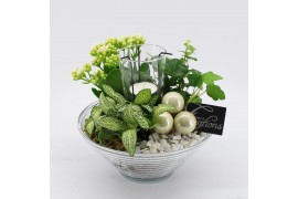 Arrangementen kerst ADV-2512WG Advent creatie 3 pp