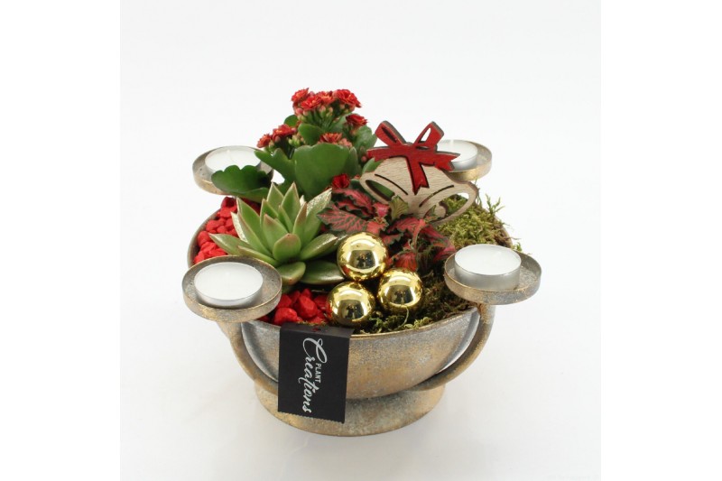 Arrangementen kerst ADV-2520R Advent creatie 3 pp 