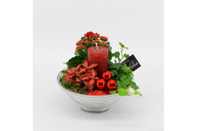 Arrangementen kerst ADV-2511R Advent creatie 3 pp 