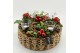 Arrangementen kerst ADV-2519R Advent creatie 6 pp 