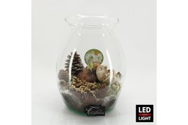 Arrangementen hippeastrum HICR-2506WLED Kerst Amaryllis terrarium 1 pp