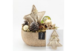 Arrangementen hippeastrum HICR-2519W Kerst Amaryllis 1 pp