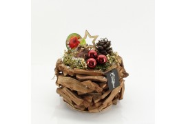 Arrangementen hippeastrum HICR-2523R Kerst Amaryllis 1 pp