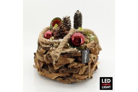 Arrangementen hippeastrum HICR-2524RLED Kerst Amaryllis 2 pp