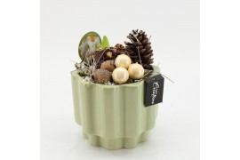 Arrangementen hippeastrum HICR-2534W Kerst Amaryllis 1 pp