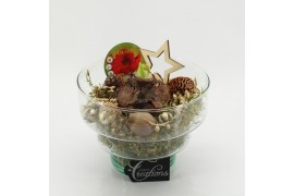 Arrangementen hippeastrum HICR-2504R Kerst Amaryllis 1 pp