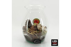 Arrangementen hippeastrum HICR-2506RLED Kerst Amaryllis terrarium 1 pp