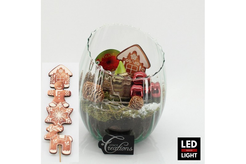 Arrangementen hippeastrum HICR-2507RLED Kerst Amaryllis 1 pp 