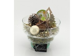 Arrangementen hippeastrum HICR-2508W Kerst Amaryllis 1 pp