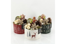 Arrangementen hippeastrum HICR-2513MW Kerst Amaryllis 1 pp