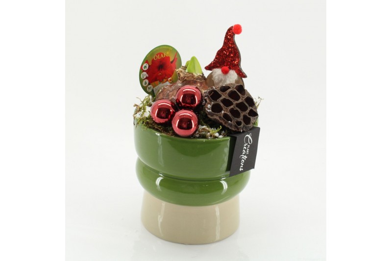 Arrangementen hippeastrum HICR-2516R Kerst Amaryllis 1 pp 