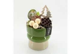 Arrangementen hippeastrum HICR-2516W Kerst Amaryllis 1 pp