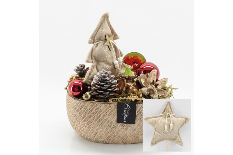 Arrangementen hippeastrum HICR-2519R Kerst Amaryllis 1 pp 