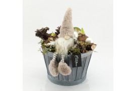 Arrangementen hippeastrum HICR-2533W Kerst Amaryllis 2 pp