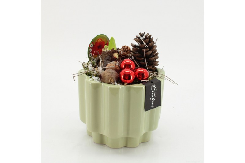 Arrangementen hippeastrum HICR-2534R Kerst Amaryllis 1 pp 