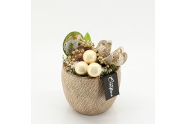 Arrangementen hippeastrum HICR-2518W Kerst Amaryllis 1 pp