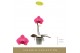 Phalaenopsis paars Singolo Hida1 bl. 1 tak/plnt 950 gram 