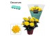 Chrysanne grandezza yellow Chrysanne® Grandezza Yellowpp 