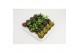 Succulenten mix Succulenten Op Rij3 pp 