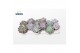 Echeveria mix Echeveria Mix Xl (5 Spc.) 
