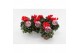 Cyclamen pers. midi garden Cyclaam Garden Red Green Leaf22 cm diameter 