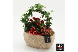 Arrangementen kerst XMAS-25270LED Kerst creatie 3 pp