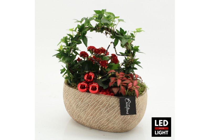 Arrangementen kerst XMAS-25270LED Kerst creatie 3 pp 
