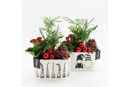 Arrangementen kerst XMAS-25279 Kerst creatie 3 pp