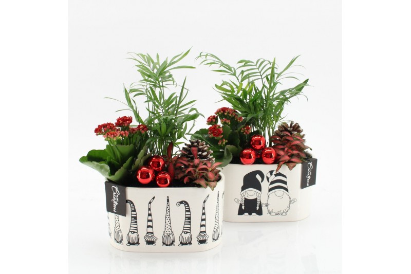 Arrangementen kerst XMAS-25279 Kerst creatie 3 pp 