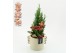 Arrangementen kerst XMAS-25288 Kerst creatie 2 pp 