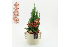 Arrangementen kerst XMAS-25288 Kerst creatie 2 pp